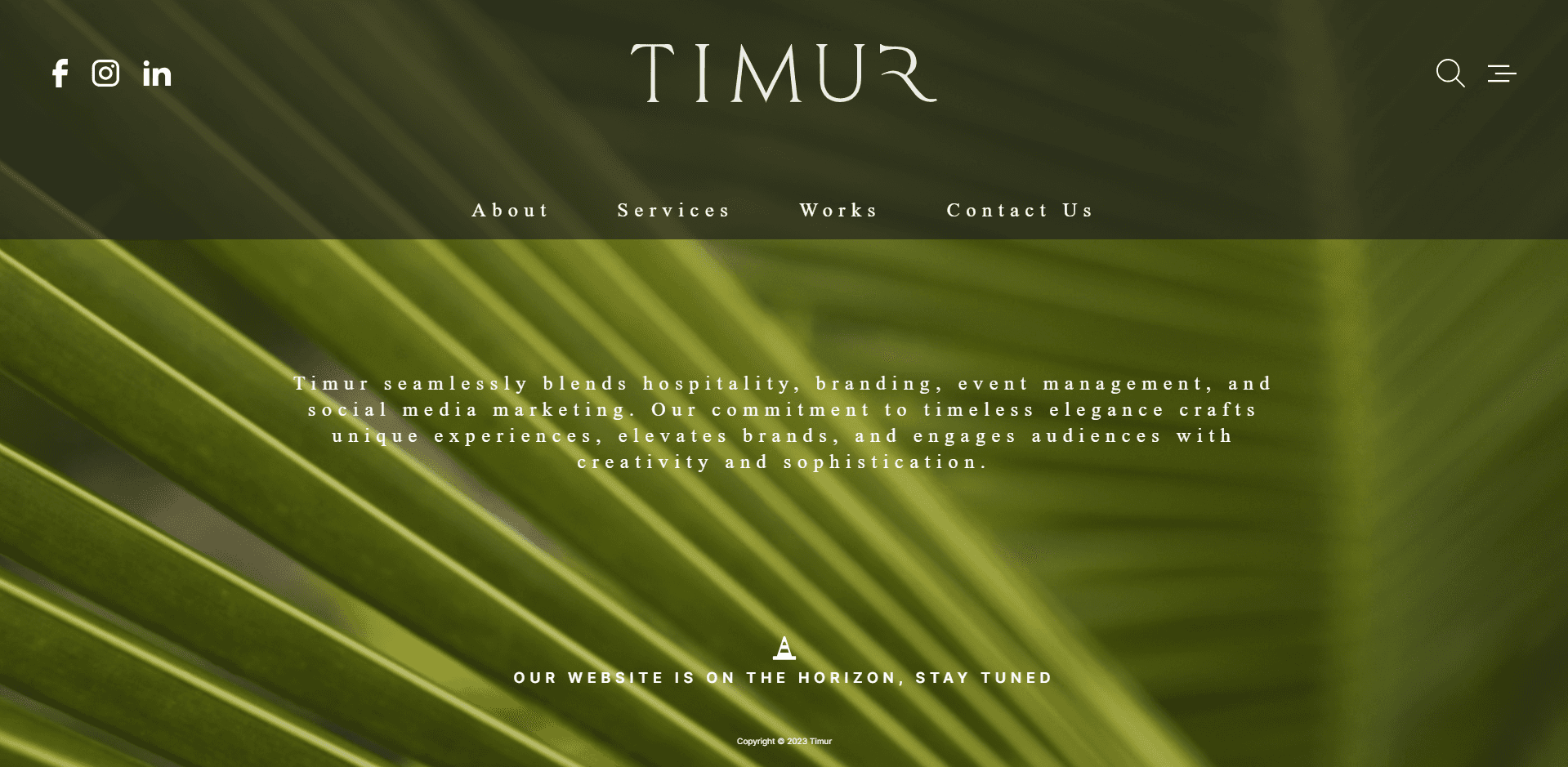 timur_project_web